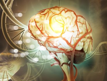 Dopamine Treatment Dopamine Treatment